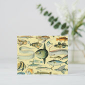 ヴィンテージフィッシュ科学魚釣りアート ポストカード (スタンド正面)