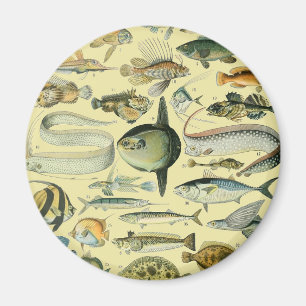 ヴィンテージフィッシュ科学魚釣りアート マグネット