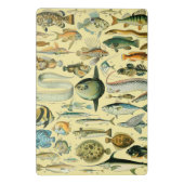 ヴィンテージフィッシュ科学魚釣りアート ミニクリップボード (裏面)