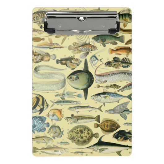 ヴィンテージフィッシュ科学魚釣りアート ミニクリップボード (正面)
