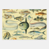 ヴィンテージフィッシュ科学魚釣りアート ラッピングペーパーシート (正面3)