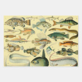 ヴィンテージフィッシュ科学魚釣りアート ラッピングペーパーシート (正面)