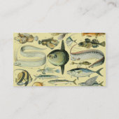 ヴィンテージフィッシュ科学魚釣りアート 名刺 (裏面)