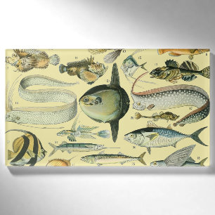 ヴィンテージフィッシュ科学魚釣りアート 名札