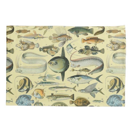 ヴィンテージフィッシュ科学魚釣りアート 枕カバー (裏面)