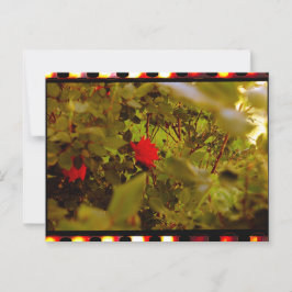 ヴィンテージフィルム隠しバラはがき ポストカード