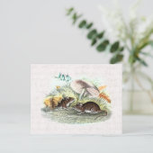 ヴィンテージフィールドマウスwマッシュルーム古いレトロネズミ ポストカード (スタンド正面)