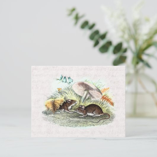 ヴィンテージフィールドマウスwマッシュルーム古いレトロネズミ ポストカード (スタンド正面)