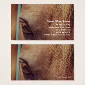 ヴィンテージフェイクソレルホース (正面&裏面)