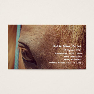 ヴィンテージフェイクソレルホース