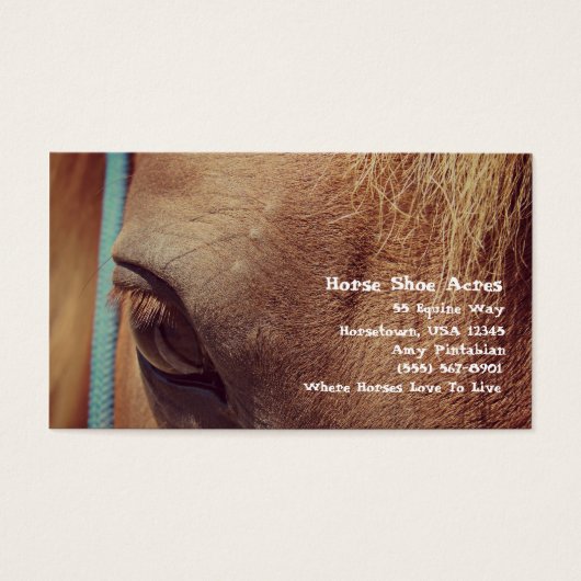 ヴィンテージフェイクソレルホース (正面)