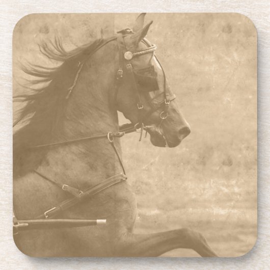 ヴィンテージフェイクハクニー コースター (正面)