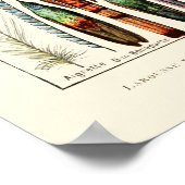 ヴィンテージフェザーバイアドルフミロ ポスター (角)