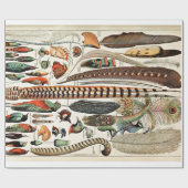 ヴィンテージフェザーバーズオールドイラストレーションアート ラッピングペーパー (フラット)