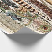 ヴィンテージフェザーバーズオールドイラストレーションアート ラッピングペーパー (角)