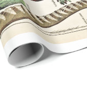 ヴィンテージフェザーバーズオールドイラストレーションアート ラッピングペーパー (ロールコーナー)