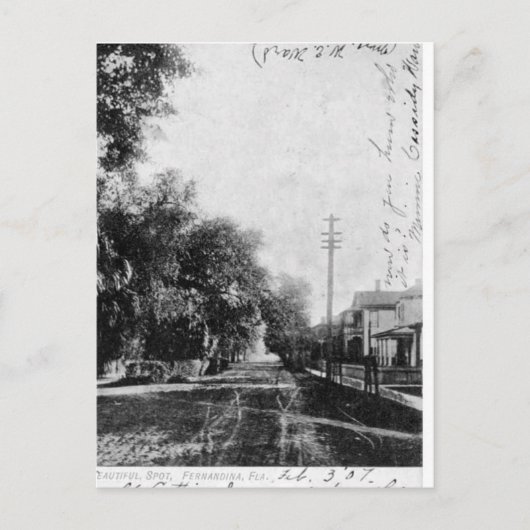 ヴィンテージフェルナンディーナビーチフロリダポストカード ポストカード (正面)