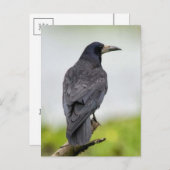 ヴィンテージフォトポストカード ポストカード (正面/裏面)