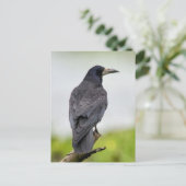 ヴィンテージフォトポストカード ポストカード (スタンド正面)