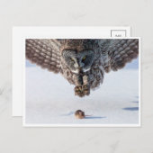 ヴィンテージフォトポストカード ポストカード (正面/裏面)