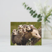 ヴィンテージフォトポストカード ポストカード (スタンド正面)