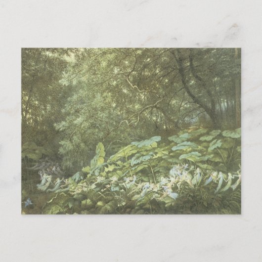 ヴィンテージフォレスト妖精の国はがき ポストカード (正面)