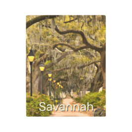 ヴィンテージフォーサイス公園 – サバンナ， GA メタルプリント