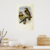 ヴィンテージフォーブスホークフクロウ ポスター (キッチン)