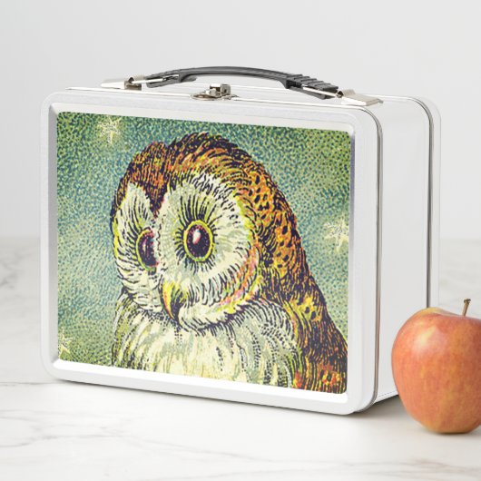 ヴィンテージフクロウかわいいイラストレーションウクロウティール（緑がかった色）ブラウン メタルランチボックス (インサイチュ)
