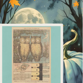 ヴィンテージフクロウかわいい秋キッドの工芸イラストレーション スタンダードカクテルナプキン