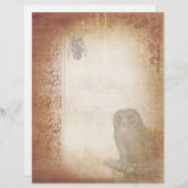 ヴィンテージフクロウとカブトムシ熟成スクラップブック紙 (正面/裏面)