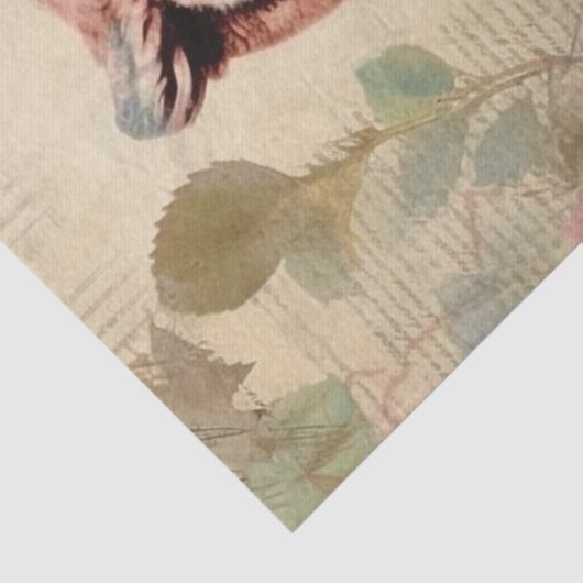 ヴィンテージフクロウとピンクのバラのデコページ 薄葉紙 (詳細)