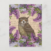 ヴィンテージフクロウと薄紫 ポストカード (正面)