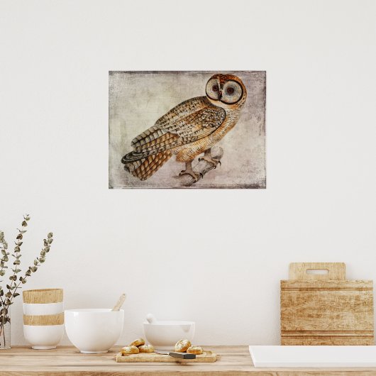 ヴィンテージフクロウのポスターまたはデコページ紙 ポスター (キッチン)