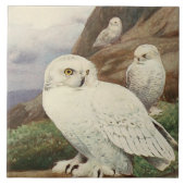 ヴィンテージフクロウの動物用デコー陶板 タイル (正面)