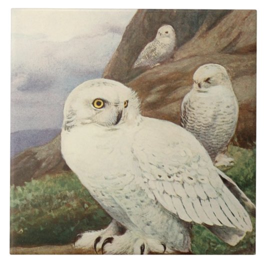 ヴィンテージフクロウの動物用デコー陶板 タイル (正面)