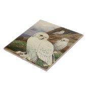 ヴィンテージフクロウの動物用デコー陶板 タイル (側面)