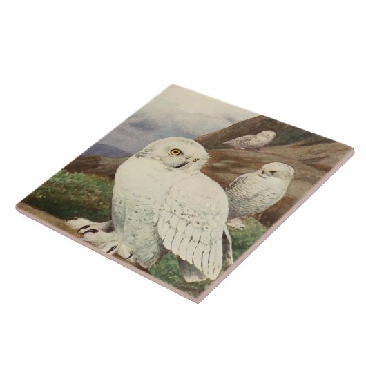ヴィンテージフクロウの動物用デコー陶板 タイル (側面)