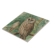 ヴィンテージフクロウの動物用デコー タイル (側面)