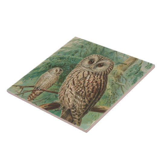ヴィンテージフクロウの動物用デコー タイル (側面)
