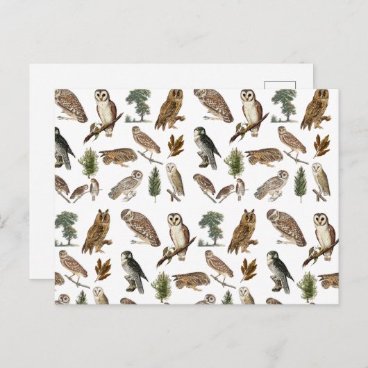 ヴィンテージフクロウの水彩林の模様 シーズンポストカード (正面/裏面)
