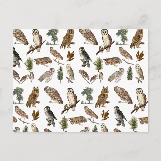 ヴィンテージフクロウの水彩林の模様 シーズンポストカード (正面)