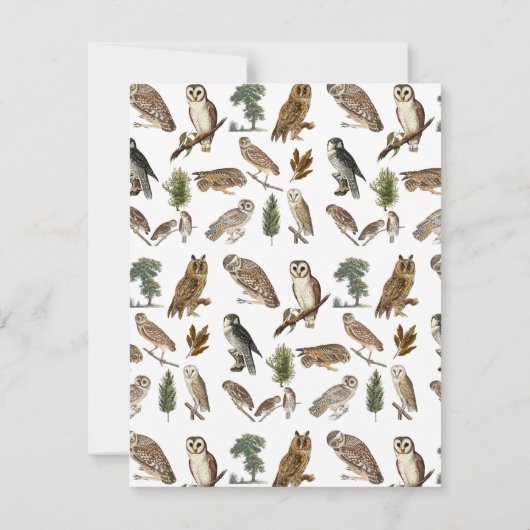 ヴィンテージフクロウの水彩林の模様 ノートカード (裏面)