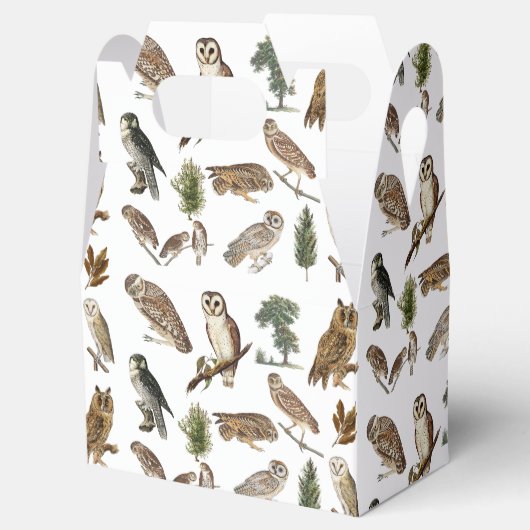 ヴィンテージフクロウの水彩林の模様 フェイバーボックス (オープン)