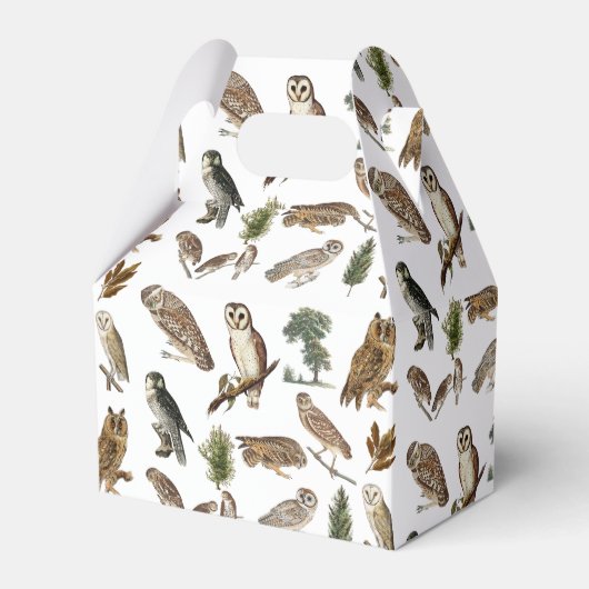 ヴィンテージフクロウの水彩林の模様 フェイバーボックス (正面サイド)