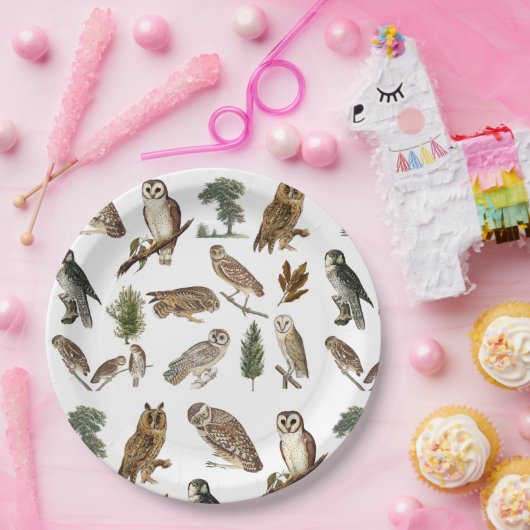 ヴィンテージフクロウの水彩林の模様 ペーパープレート (パーティー)