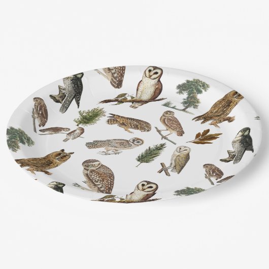 ヴィンテージフクロウの水彩林の模様 ペーパープレート (アングル)