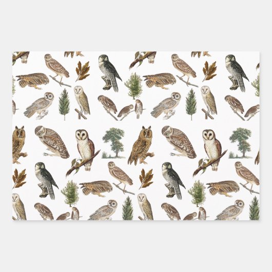 ヴィンテージフクロウの水彩林の模様 ラッピングペーパーシート (正面3)