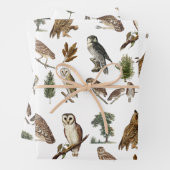 ヴィンテージフクロウの水彩林の模様 ラッピングペーパーシート (インサイチュ)