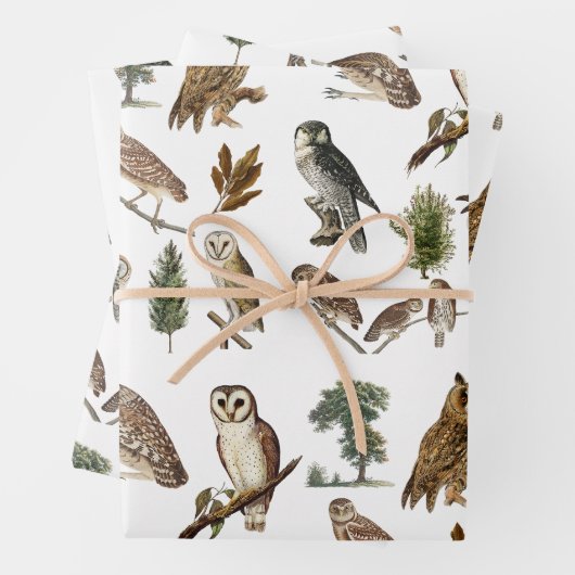 ヴィンテージフクロウの水彩林の模様 ラッピングペーパーシート (インサイチュ)